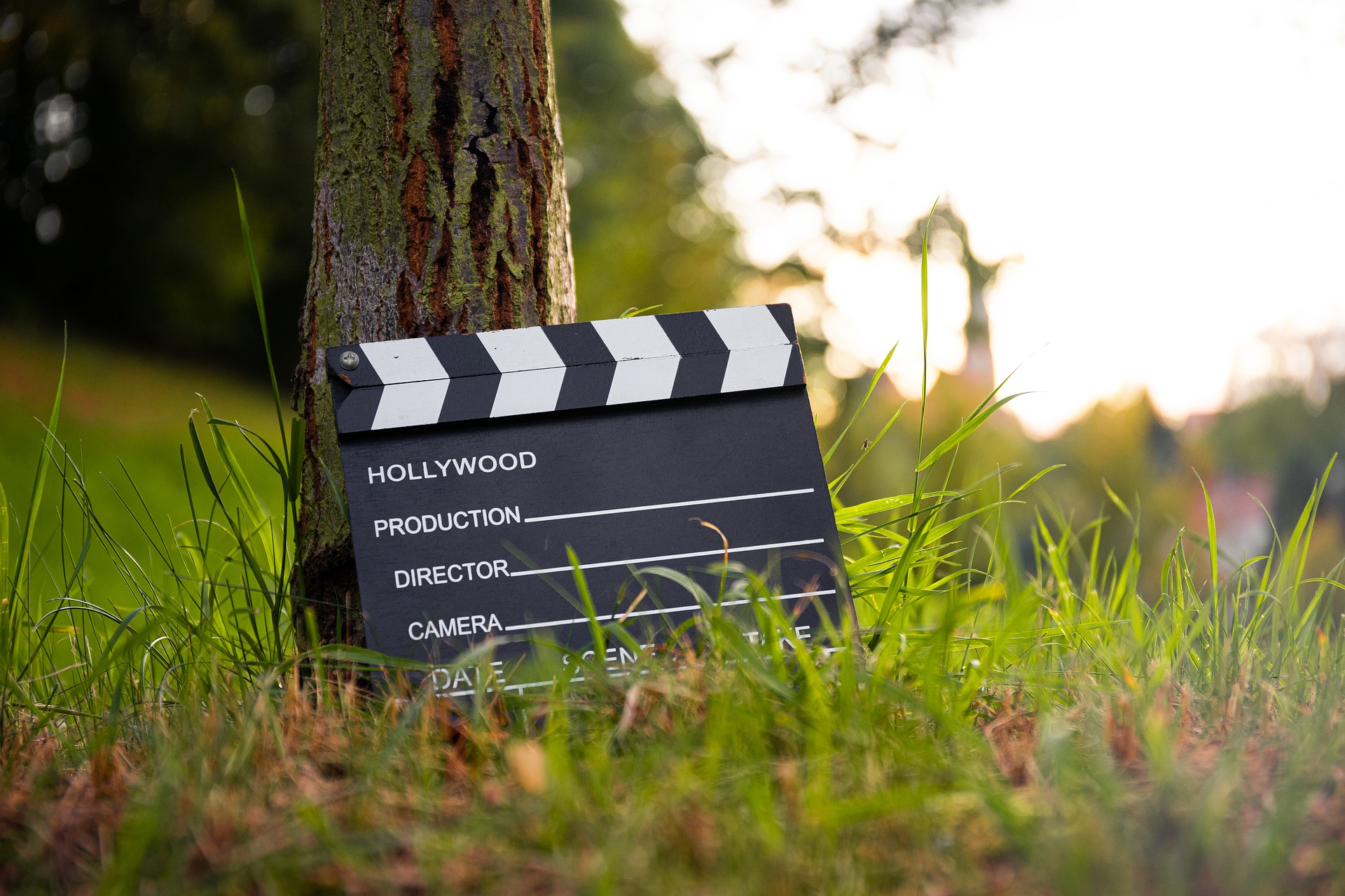Filmklappe lehnt an einem Baum